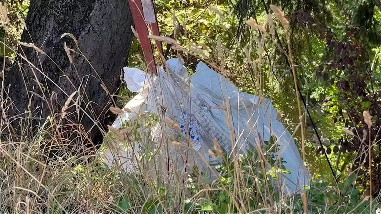 'Dangerous' homeless camp removed in Nanaimo after two shootings