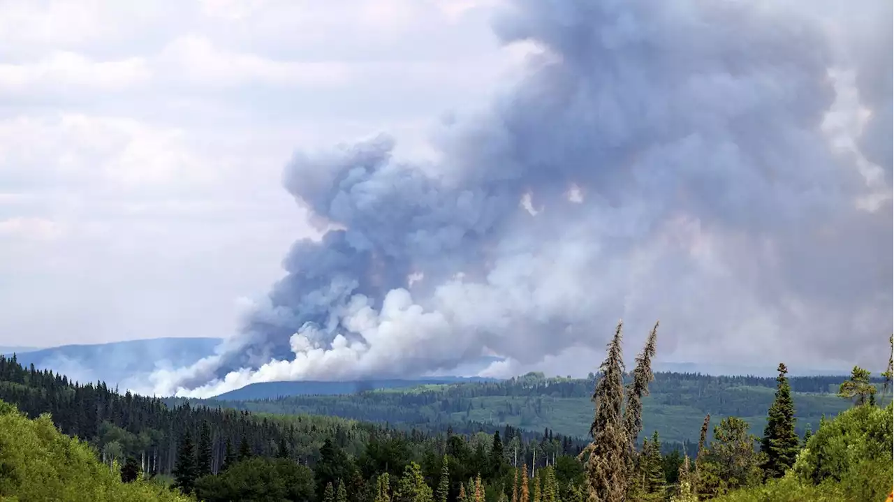 Fundraiser honours Zak Muise, who died fighting wildfire in B.C.