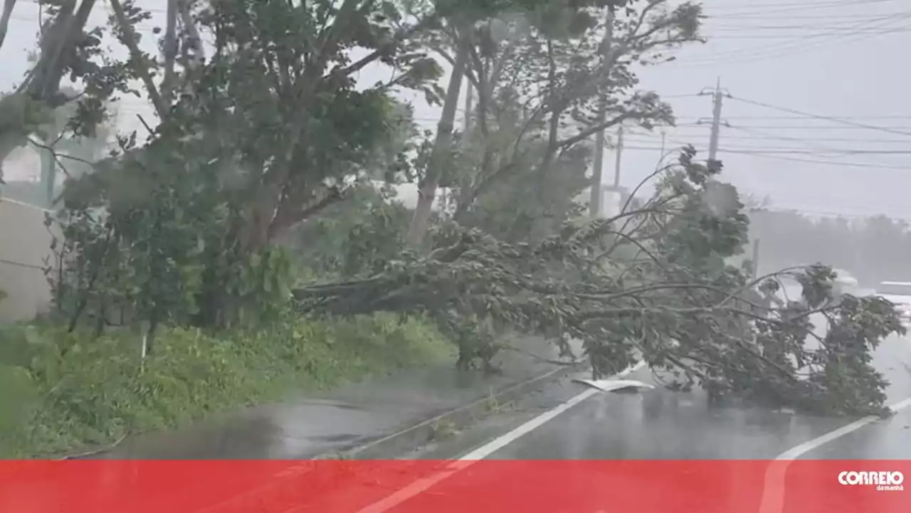 Tufão Khanun causa um morto e deixa 220 mil casas sem eletricidade no Japão