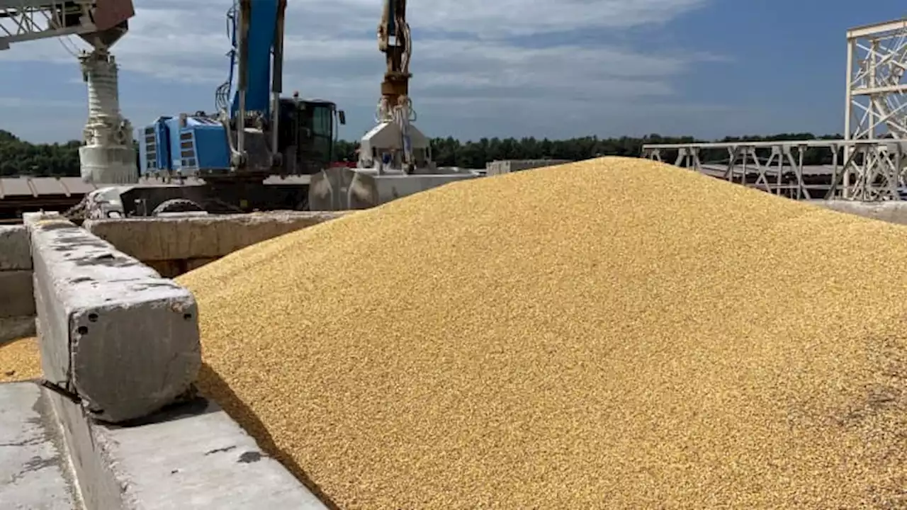 Russia strikes Ukraine's Danube port, sending global grain prices higher