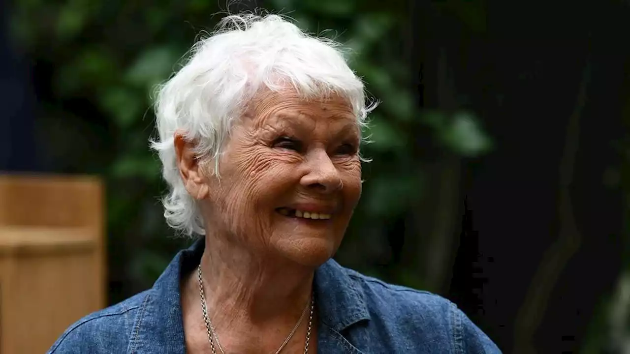 Atteinte de dégénérescence maculaire, l'actrice Judi Dench annonce «ne plus rien voir sur les plateaux»