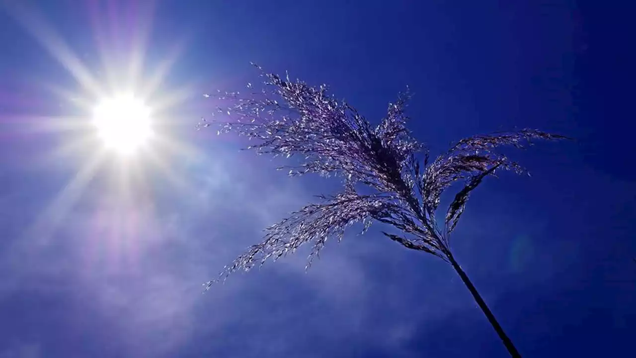 Canicule en France : il y a eu 80 morts de plus que la normale en juillet