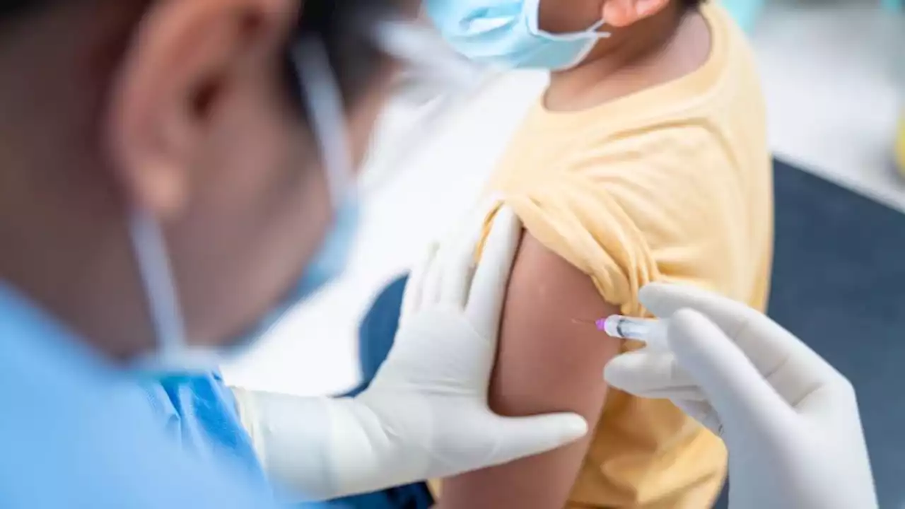 Vaccines for flu and RSV now available ahead of fall virus season | CNN