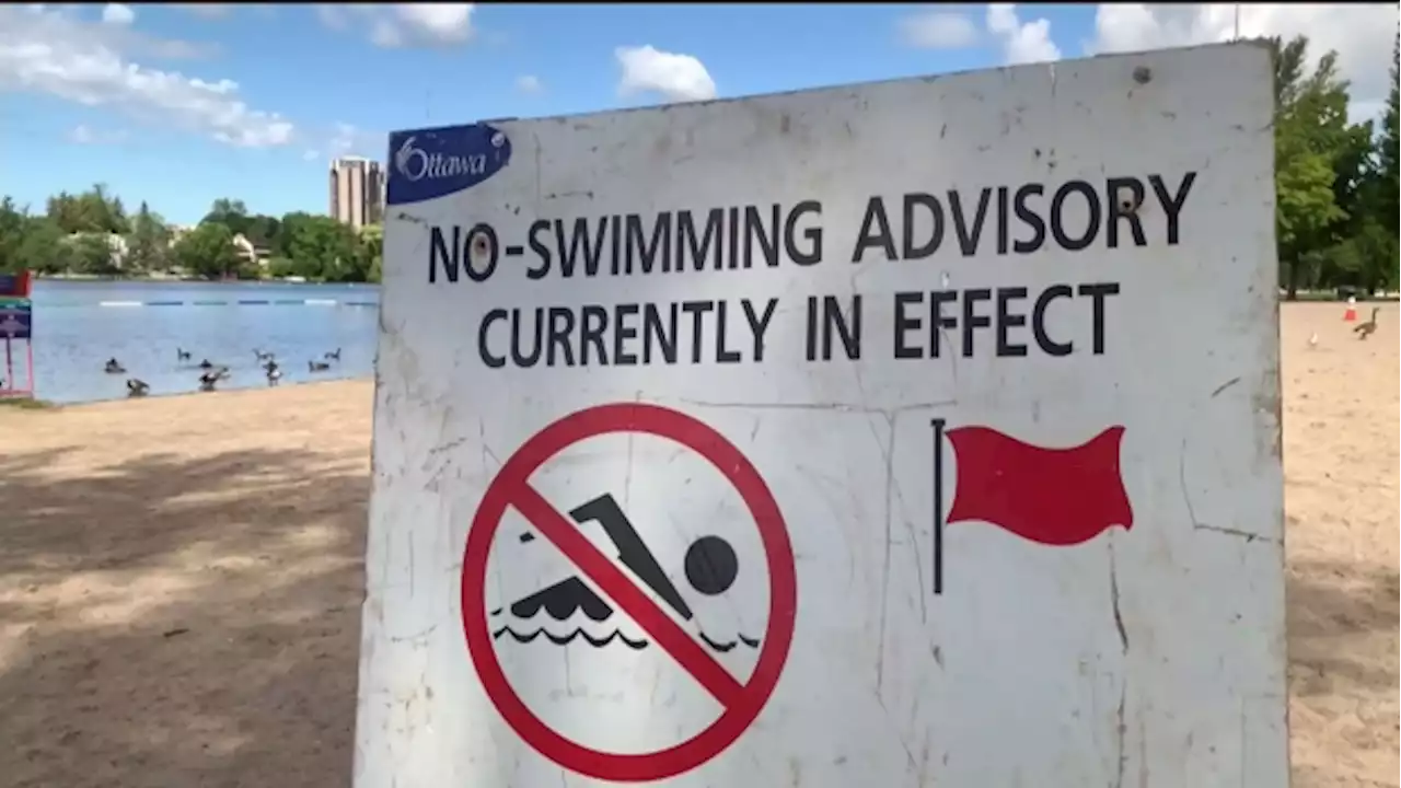 Possible blue-green algae closes Ottawa beach