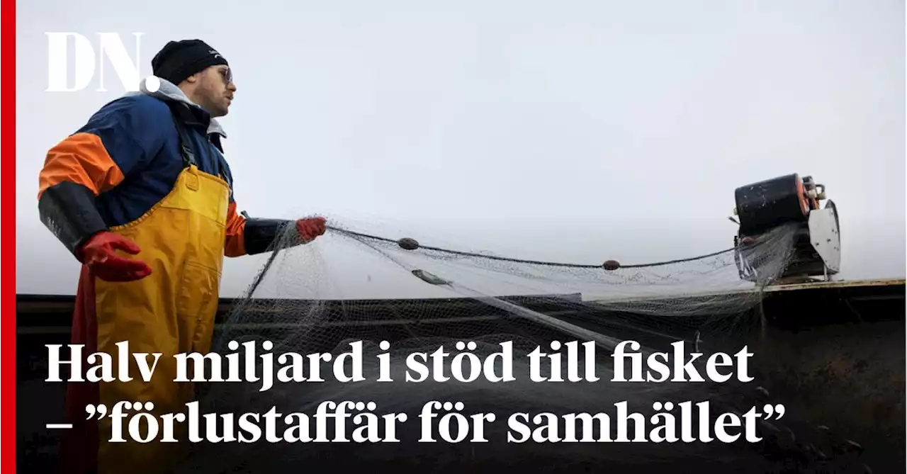 Halv miljard i stöd till fisket – ”förlustaffär för samhället”