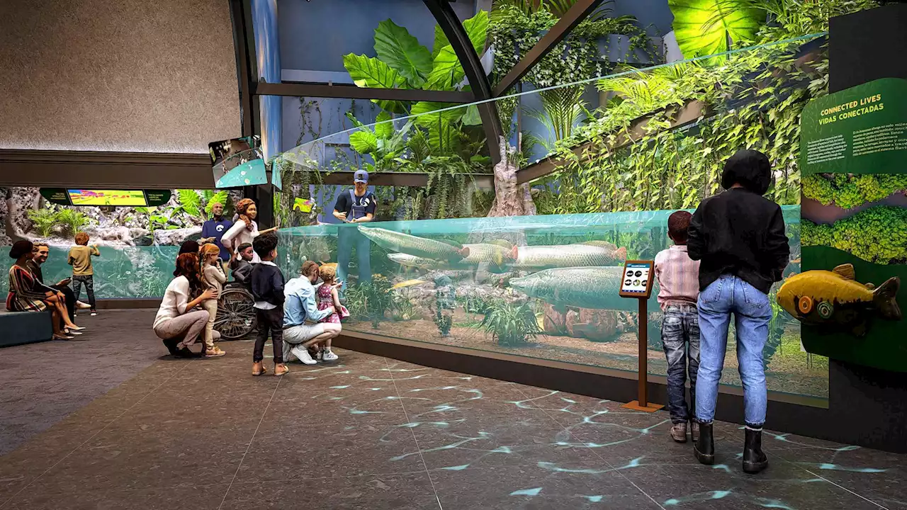 Shedd Aquarium details major renovations for Centennial Commitment project