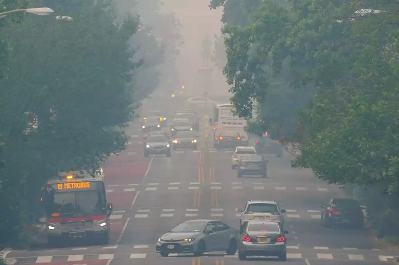 August, Smog-ust: Why You Should Drive Less This Month