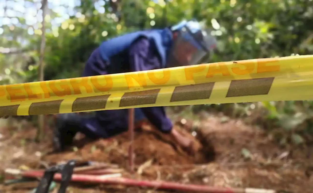 Atentado con explosivos dejó 6 heridos en Puerto Rico, Meta