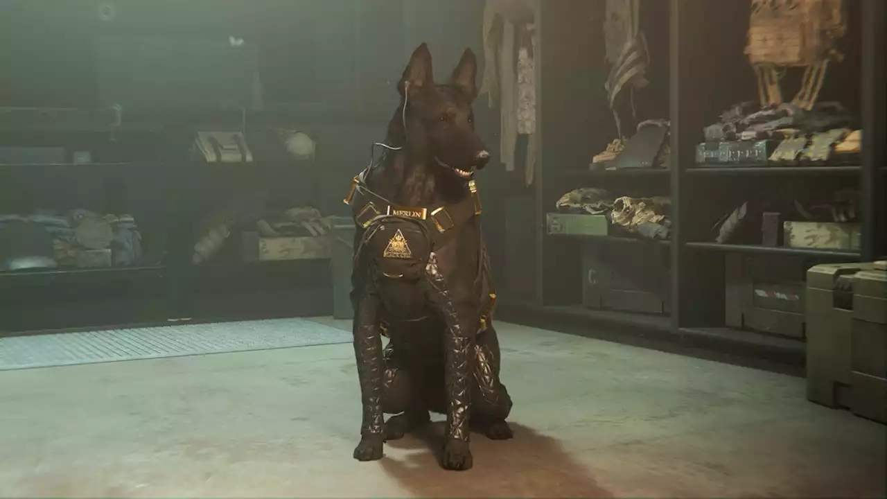 Call of Duty is adding a dog again