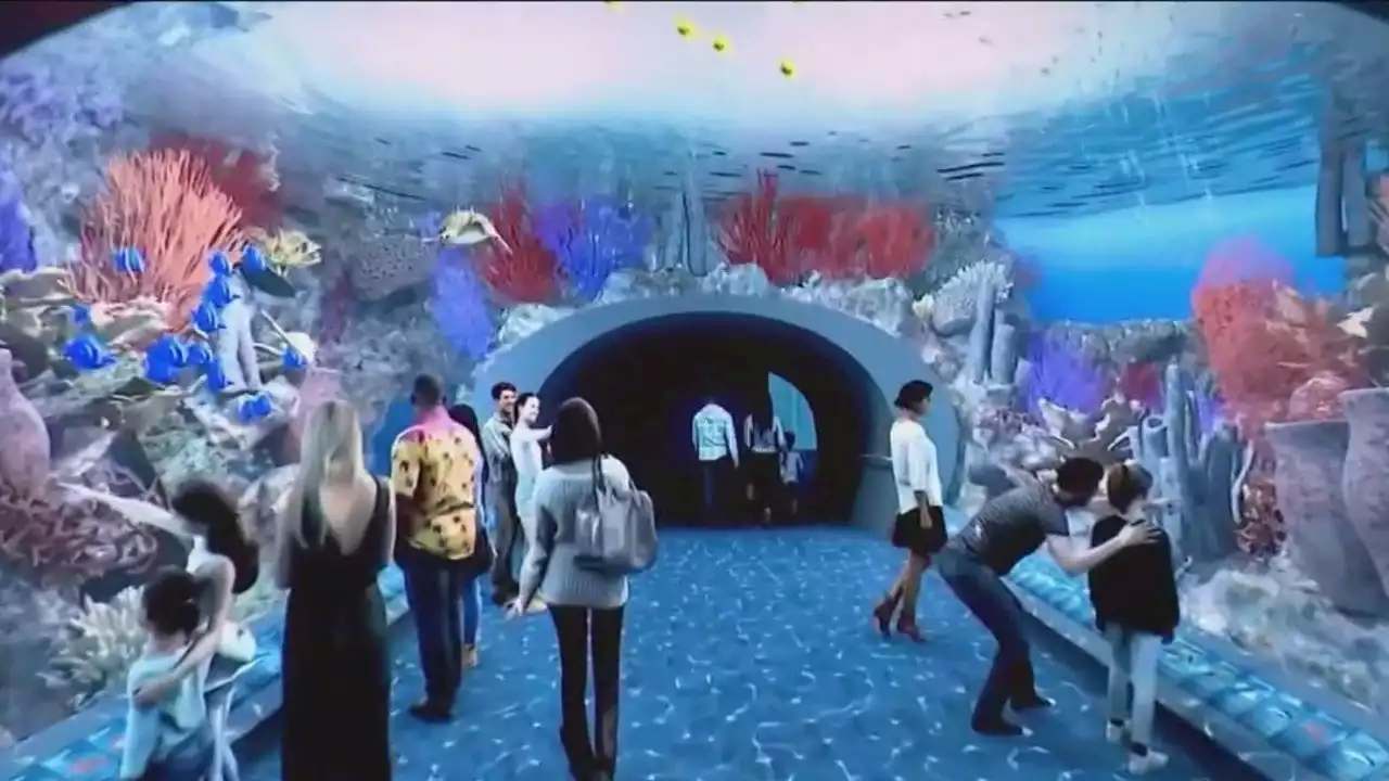 Shedd Aquarium makes waves with new $250M expansion