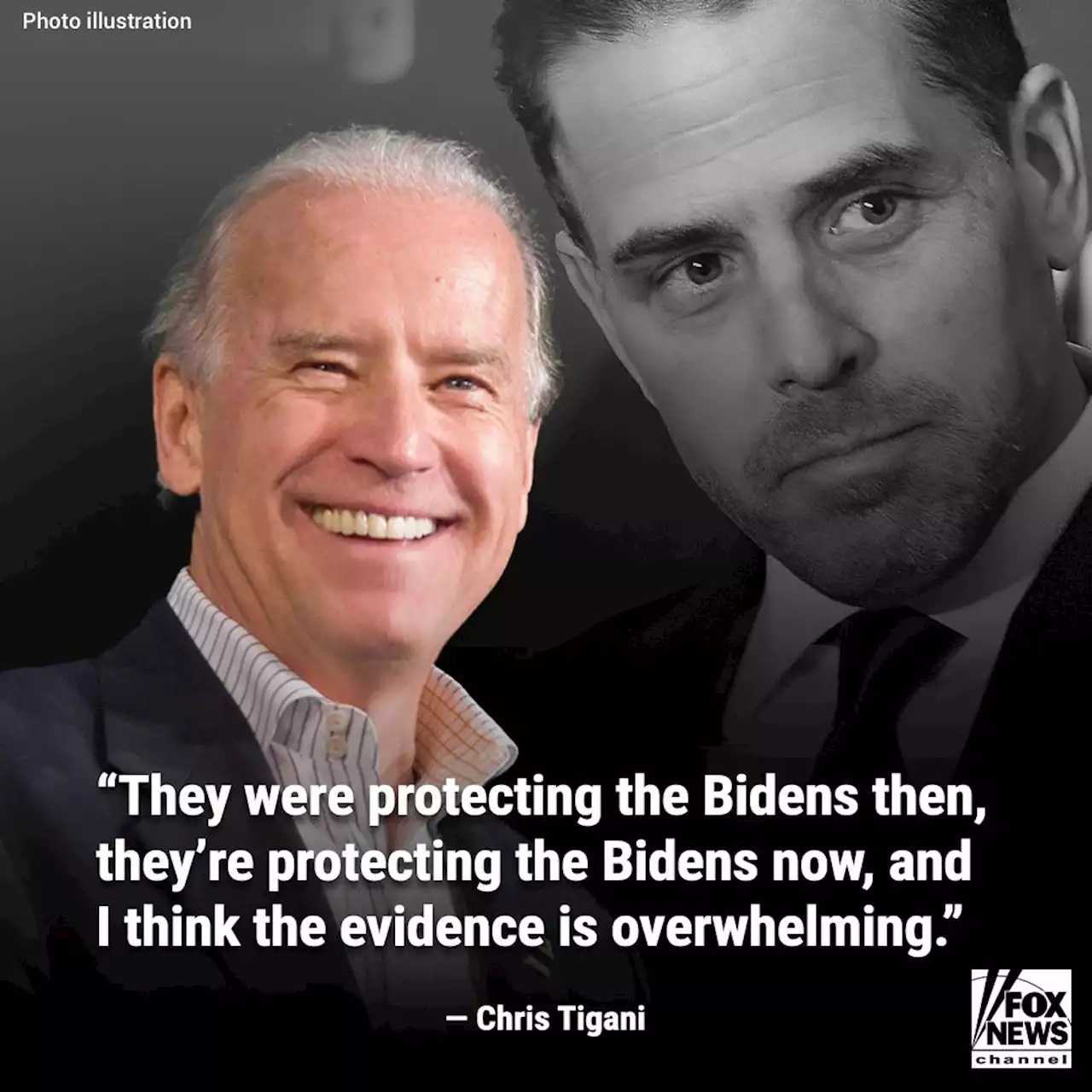 Businessman who sat in jail for donations to Biden rips Hunter plea deal: Always protecting the Bidens