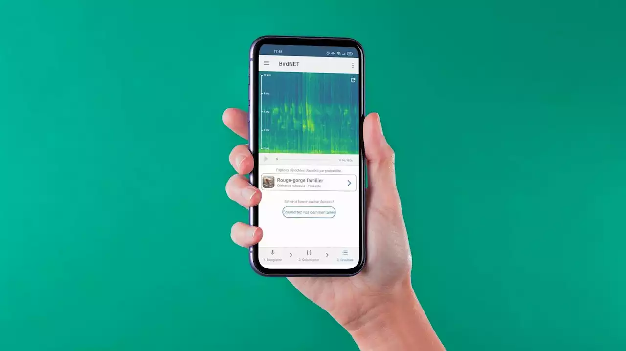 Ces applis qui ont changé nos vies : l’application de reconnaissance des oiseaux : 'BirdNet'