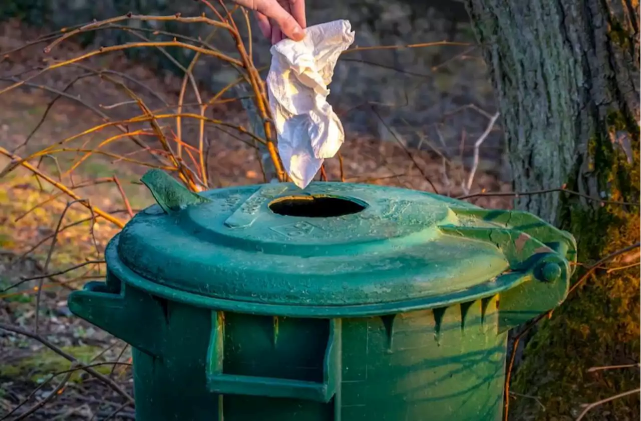 'No excuse to drop litter': Local park to have high-tech 'smart' bins installed