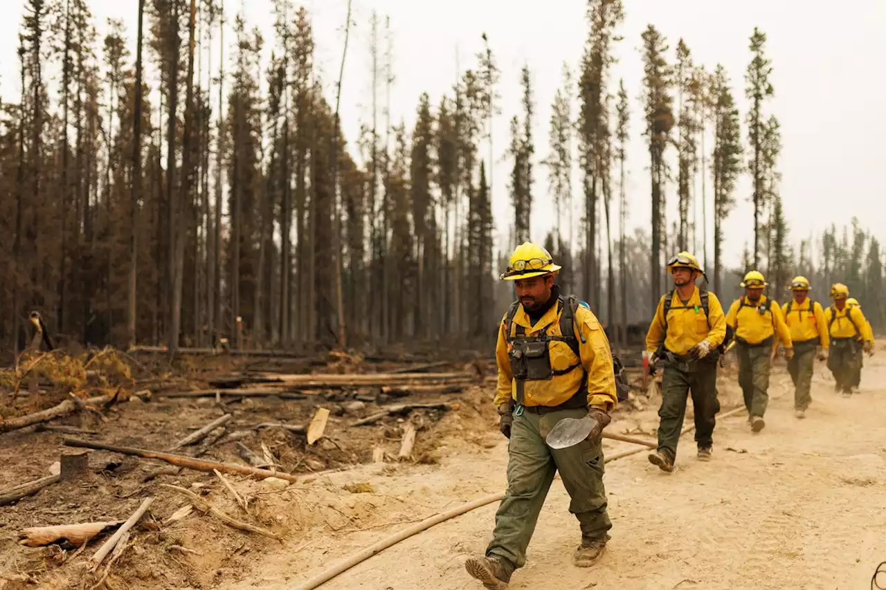 Western Canada: Feeding the foreign firefighters battling Canada’s blazes