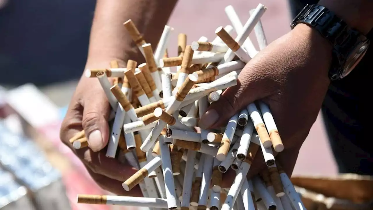 Kanada Wajibkan Label Peringatan Kesehatan di Setiap Batang Rokok