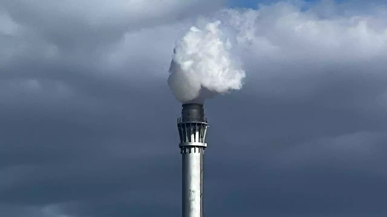 Verbrenner-Aus, grüne Energie: Ökonomen widersprechen Hans-Werner Sinn