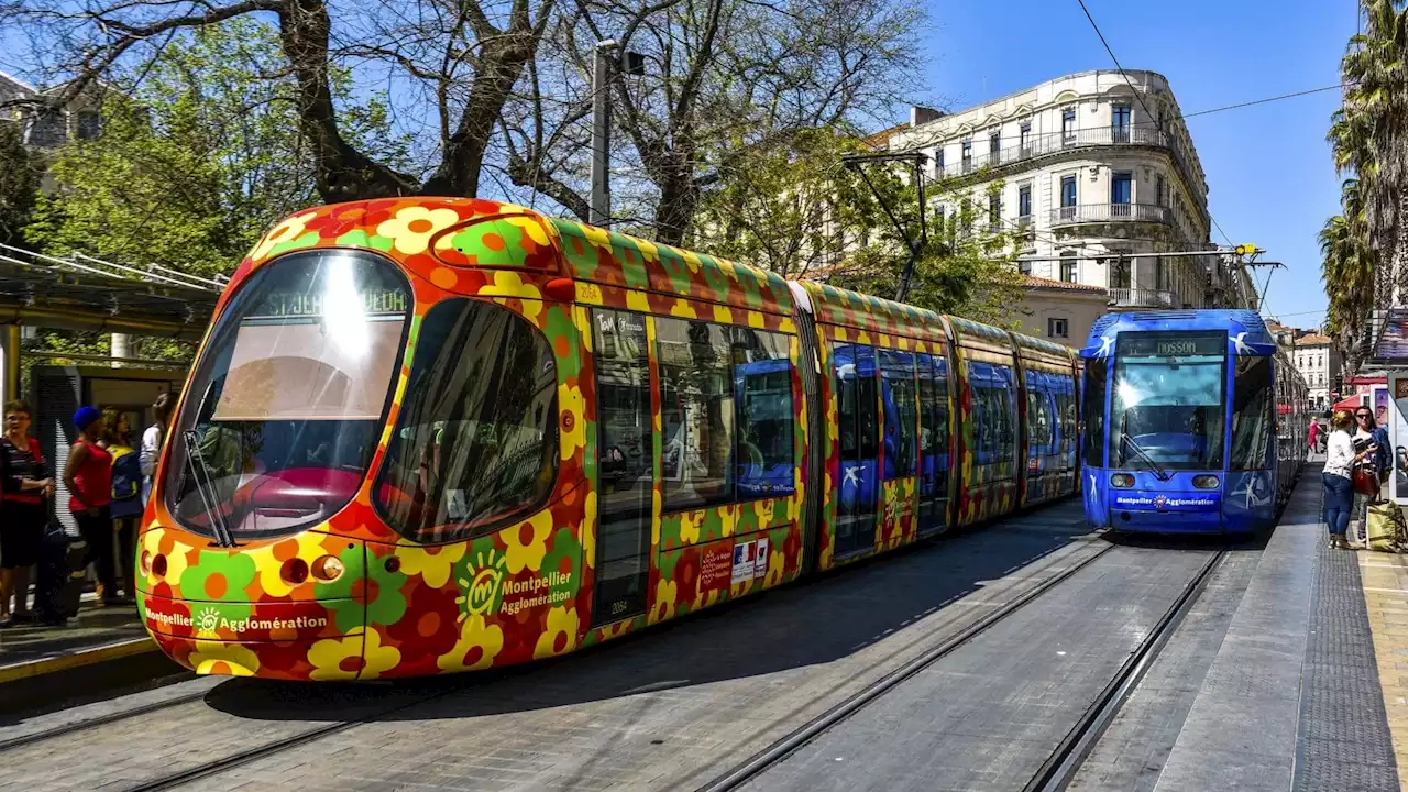 A Montpellier si andrà in tram gratis (e in Europa non è sola) (di A. Marrocco)