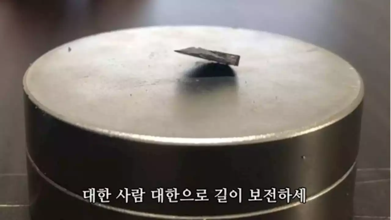 '애국가 몇절에 넣지?'…초전도체 최초 개발 '석배형' 밈 뜬다 | 중앙일보