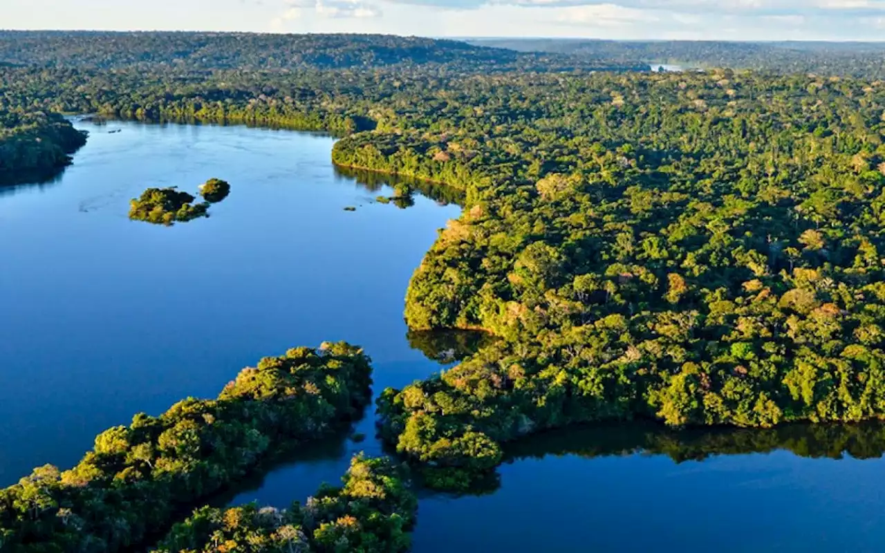 Cúpula da Amazônia terá representante da Indonésia | Brasil | O Dia