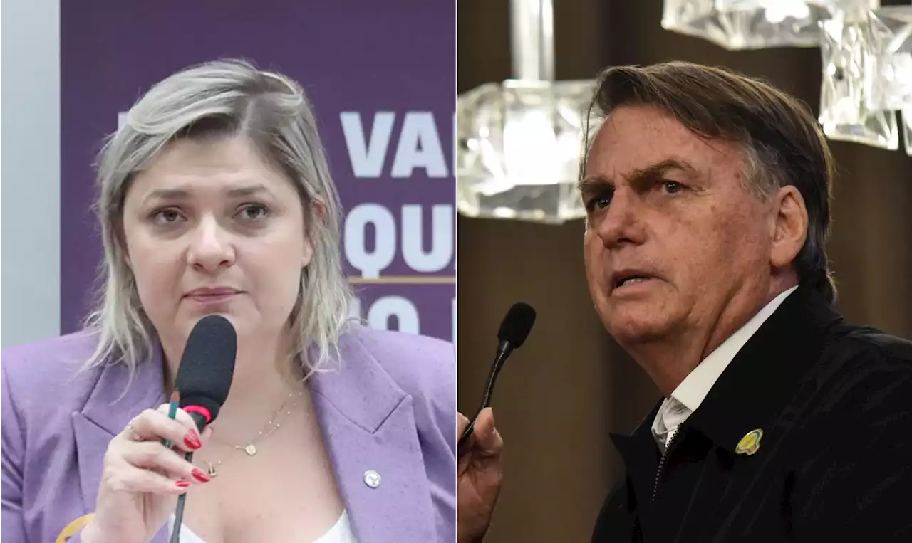 Deputada pede que MPF investigue Bolsonaro por estelionato após recebimento de R$ 17 milhões via Pix