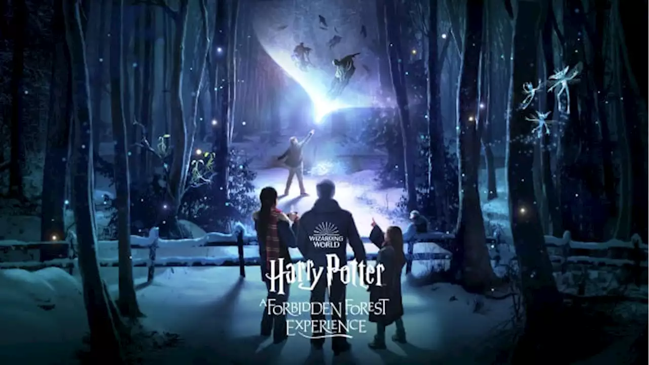 Immersive Harry Potter experience coming to Texas in October