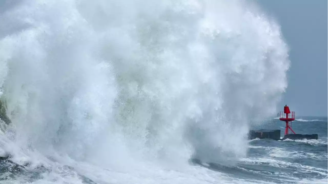 Tempête Patricia : une femme morte dans le Finistère, un enfant de 10 ans entre la vie et la mort en Charente-Maritime