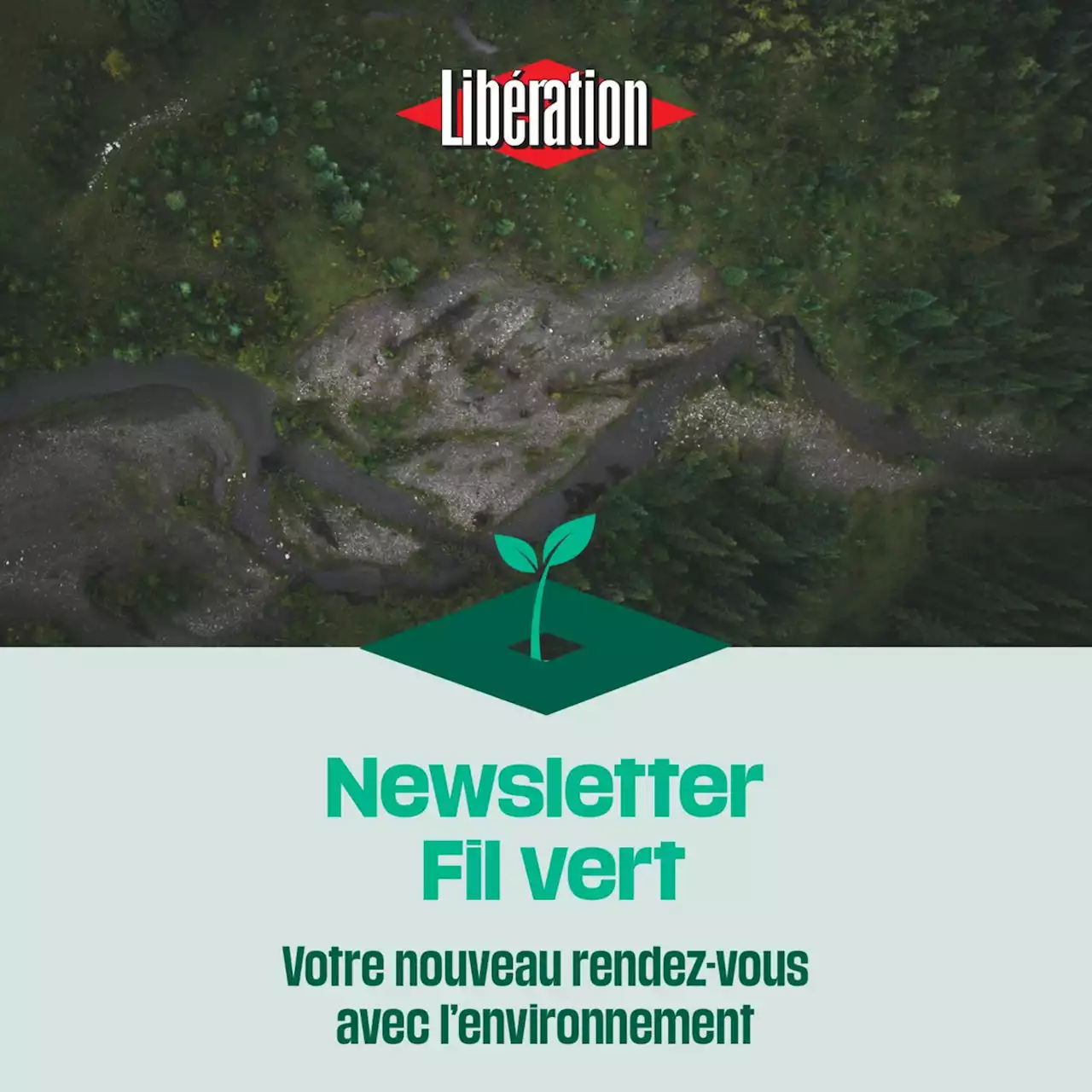 Découvrez Tu Mitonnes, la newsletter culinaire de Libération