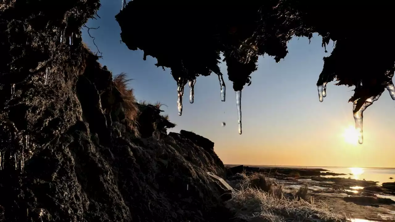 'Black swan' pathogens from ancient permafrost may be getting ready to wake up