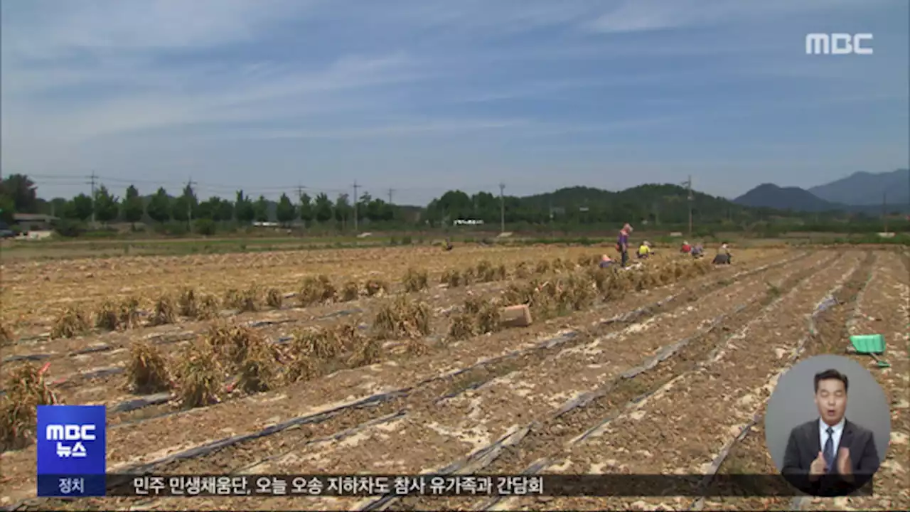 오늘도 폭염경보‥위기 경보 '심각'