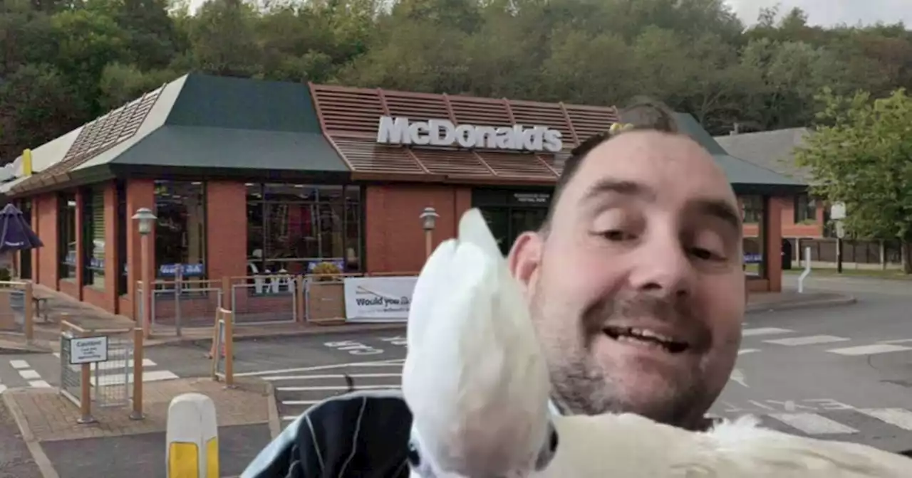 Man with 'assistance parrot' claims he was kicked out of McDonald's