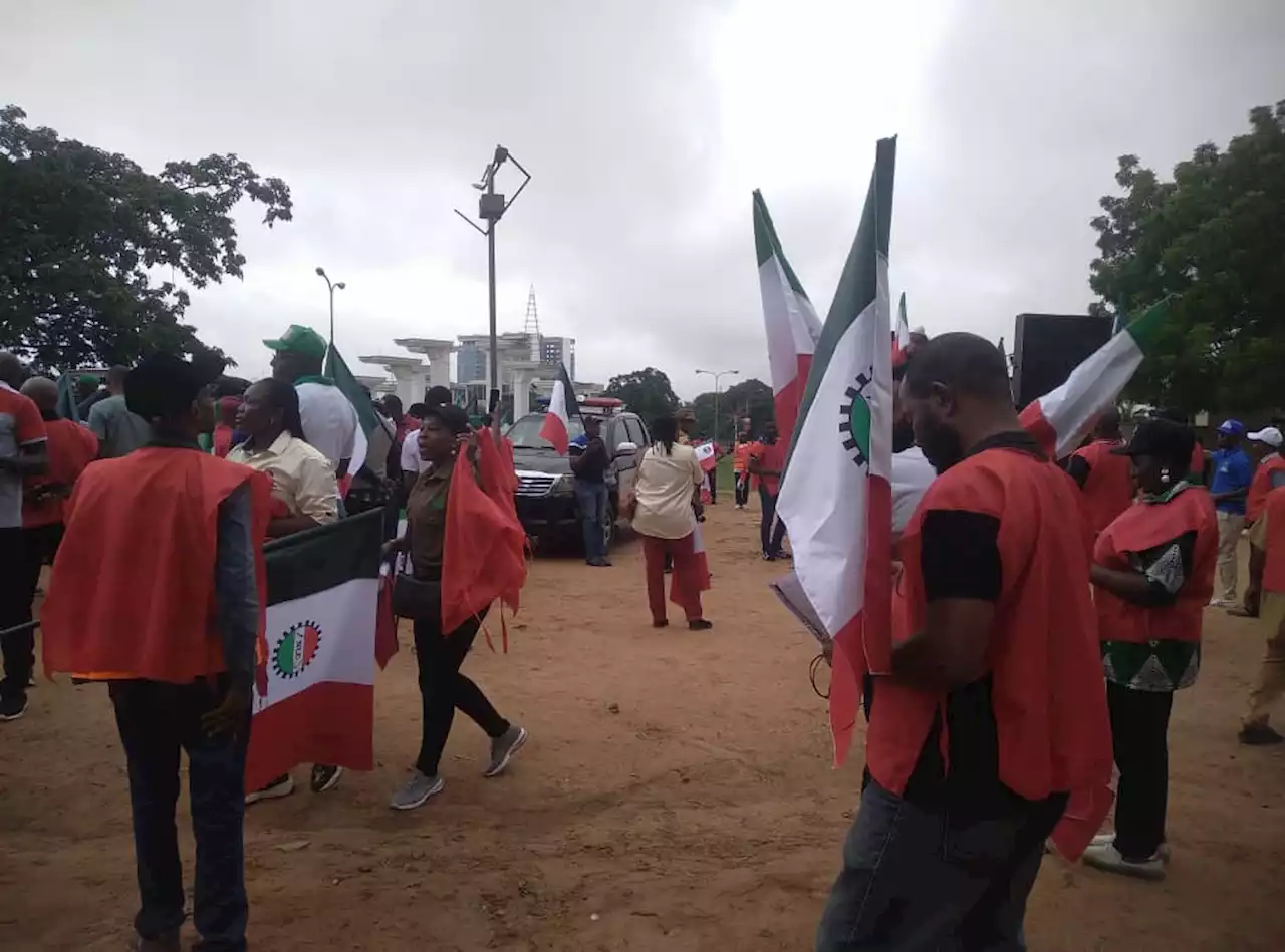 Protest: Labour leaders, others assemble at Unity Fountain, Abuja