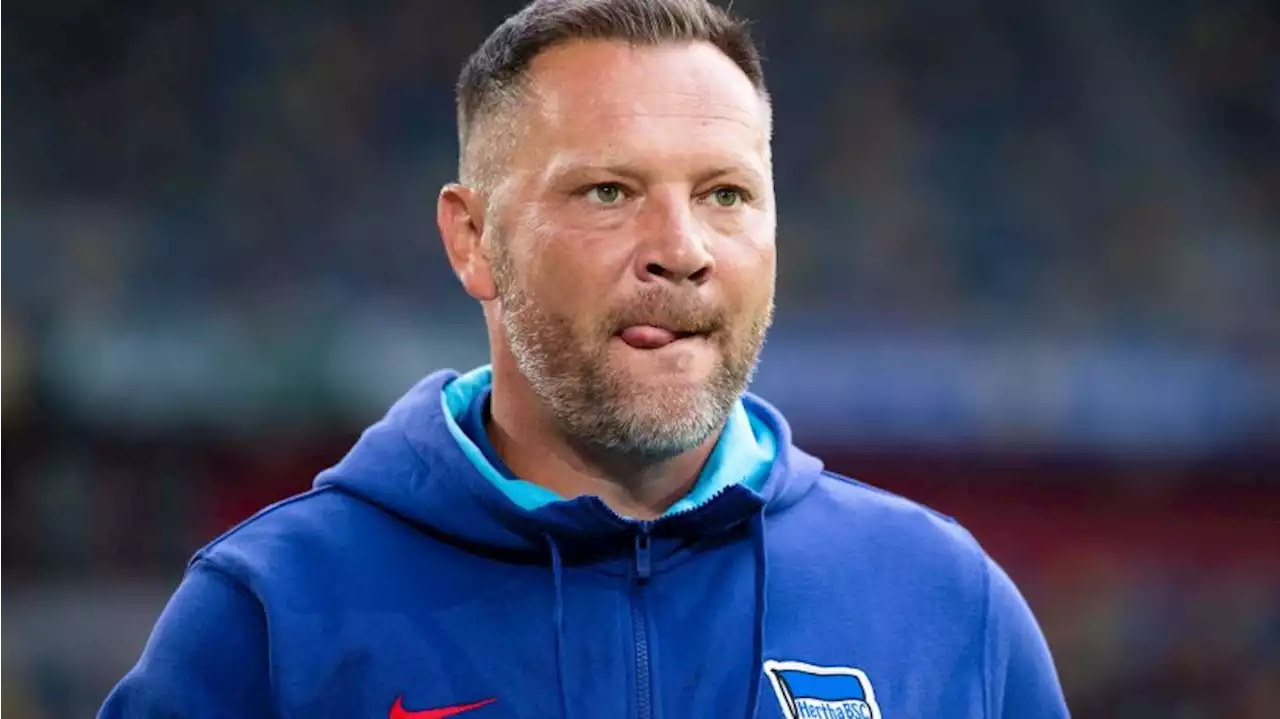 Hertha-Trainer Dardai: „Wollen uns da reinbeißen“