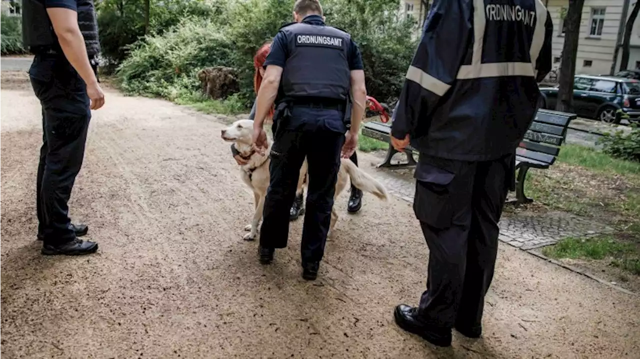 Verstärkte Kontrollen zum Schutz von Grünanlagen in Berlin