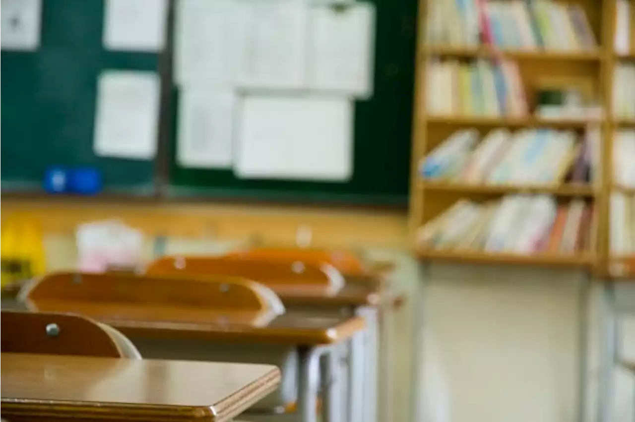 Armed robbers steal safes from Limpopo school, dump them outside after failing to open them | News24