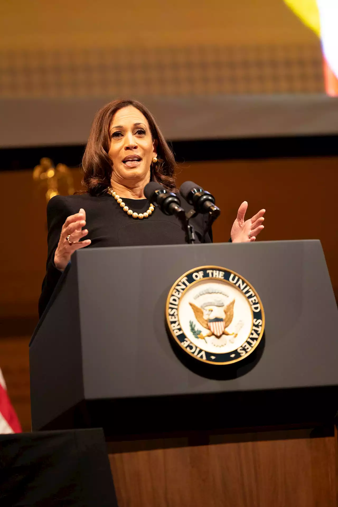 It's Kamala Harris vs. Ron DeSantis in the fight over Florida's new teachings on slavery - New York Amsterdam News