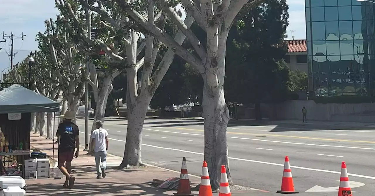 Is Universal Studios Landscaping or Strike Busting?