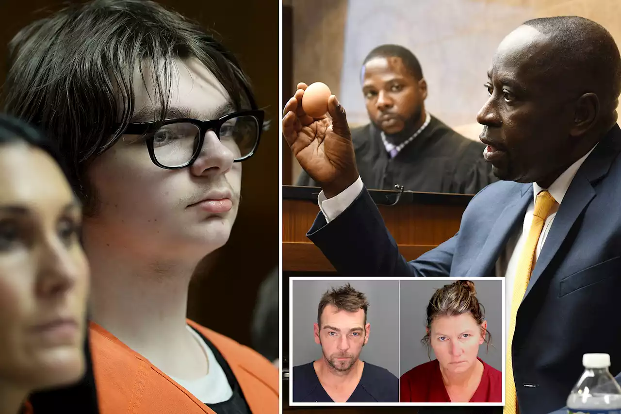 Michigan school shooter Ethan Crumbley ‘felt relieved’ his violent drawings were found: psychologist