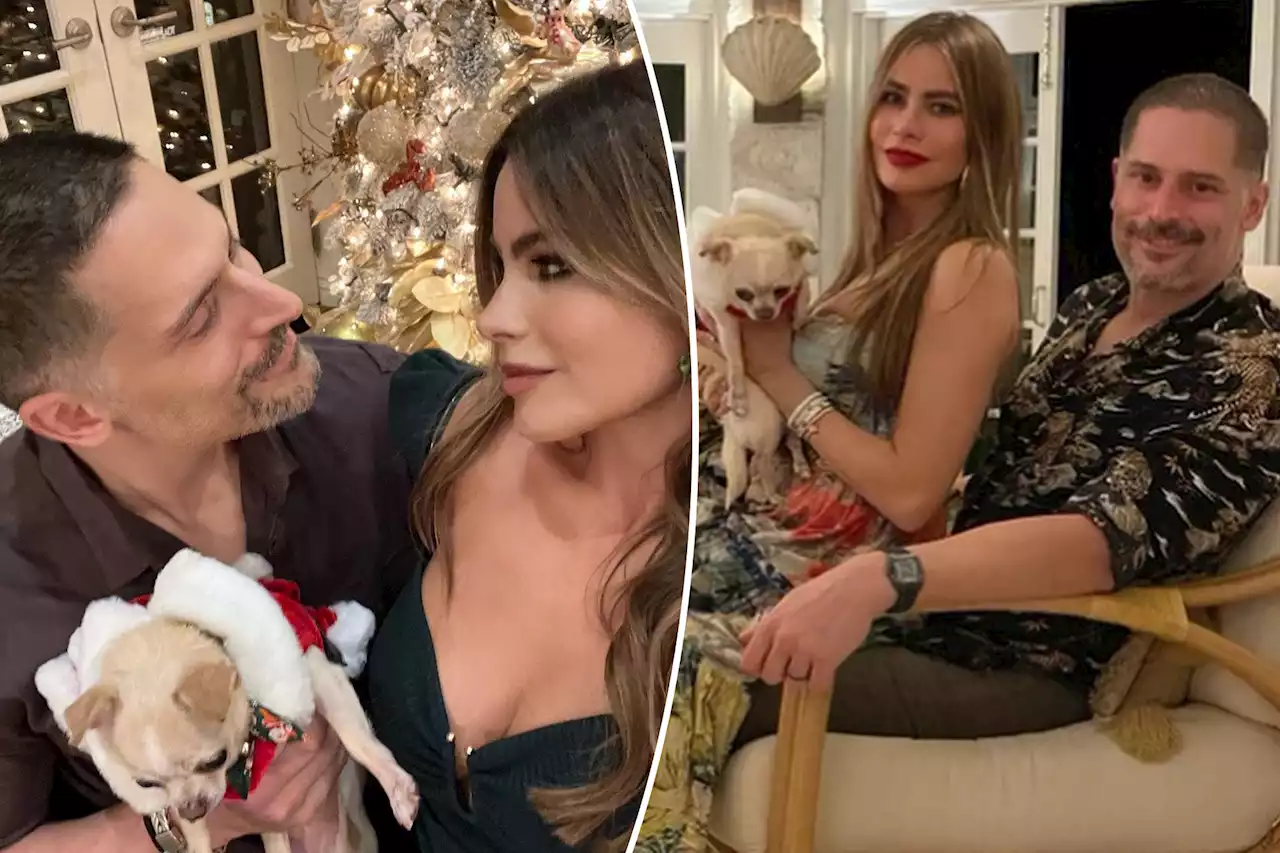 Sofía Vergara lets Joe Manganiello keep dog in divorce after admitting the pooch ‘hates’ her: report