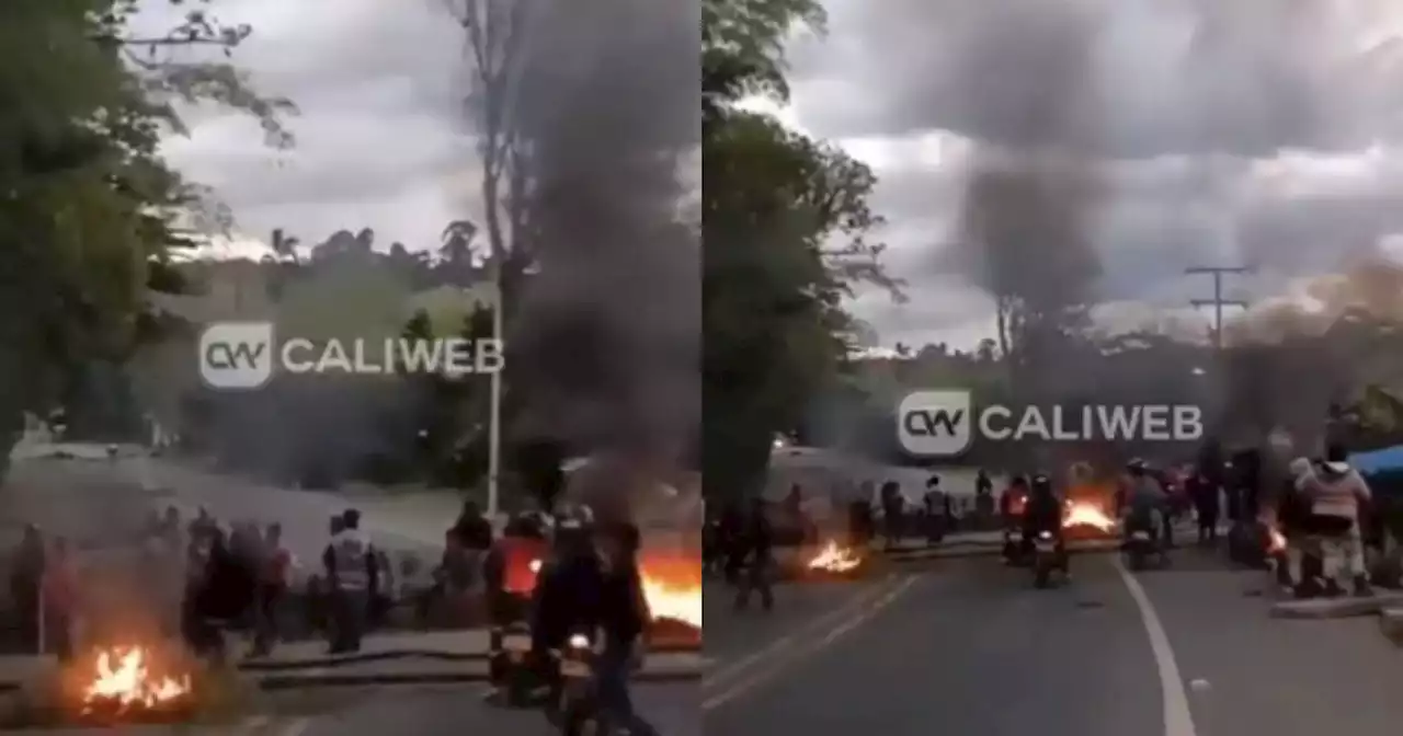 Comunidades indígenas protestan en la vía Panamericana: terminal de Cali tetiene operaciones al sur del país