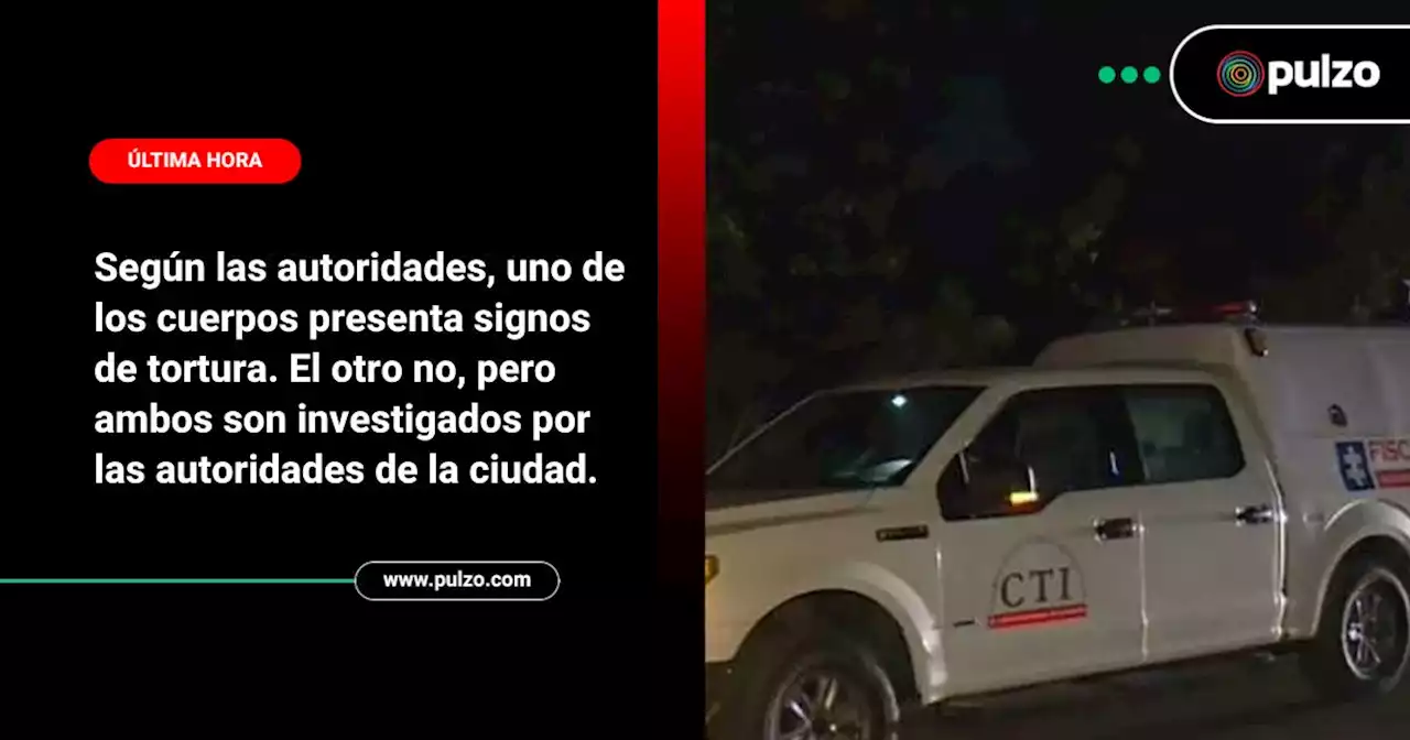 Encontraron dos cuerpos en Bogotá, al sur de la ciudad; uno estaba bajo un árbol - Pulzo