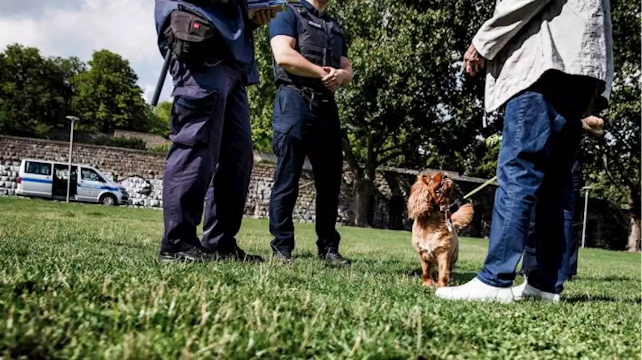 Ordnungsämter kontrollieren verstärkt in Berliner Parks - Müll und Hunde im Fokus