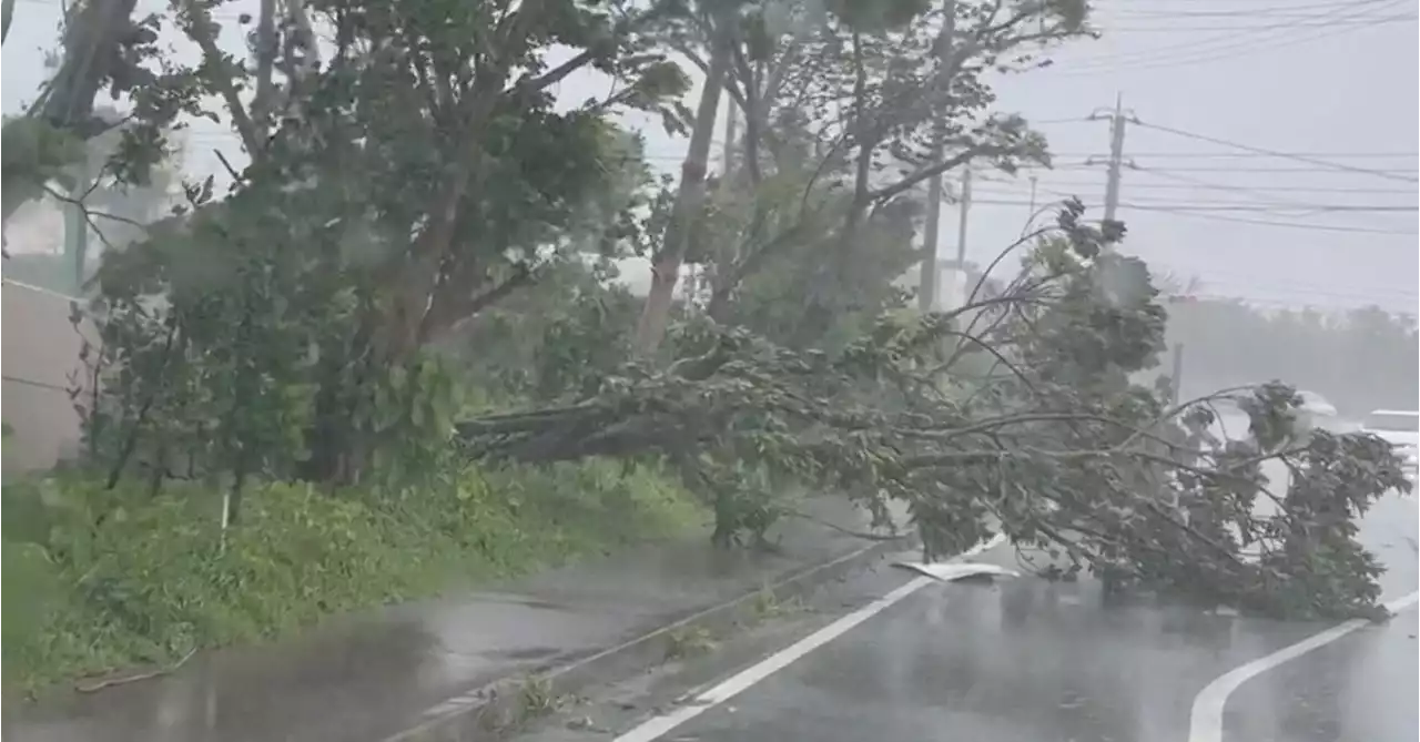 Typhoon Khanun kills one man, knocks out power to one-third of Japan's Okinawa homes