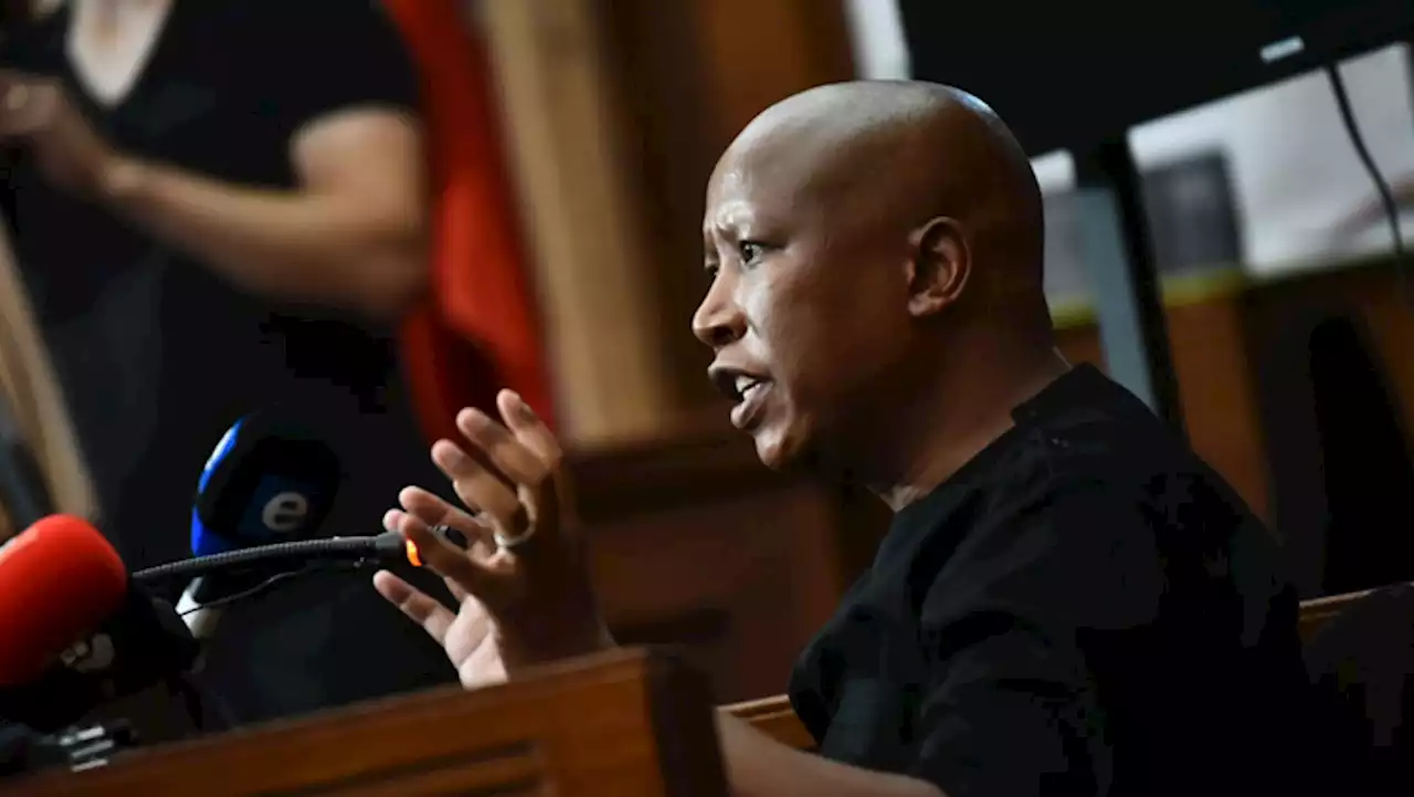 Social media debate rages around Malema's 'shoot to kill' chant - SABC News