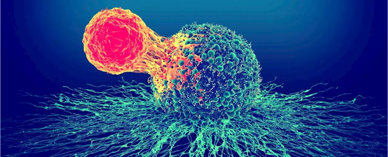 Newly Discovered T-Cells Could Rid Late-Stage Cancer Patients of Tumors