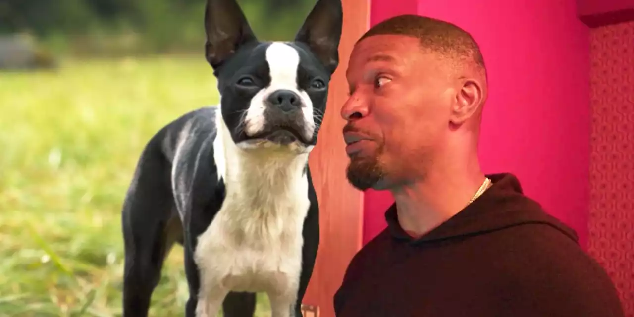 Jamie Foxx & Will Ferrell Get Vulgar AF Recording Strays Dialogue In BTS Trailer