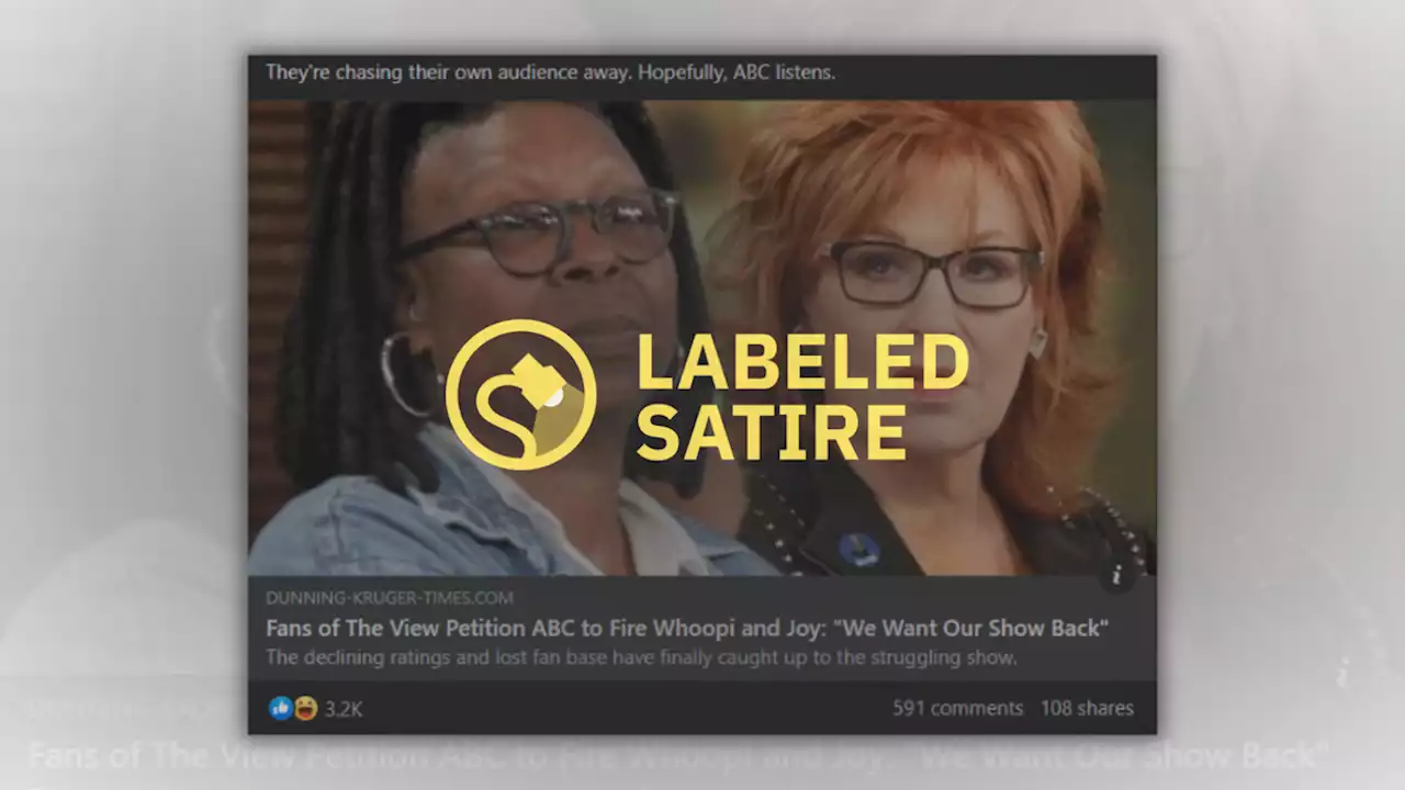 Are 1M Fans of 'The View' Petitioning ABC to Fire Whoopi Goldberg and Joy Behar?