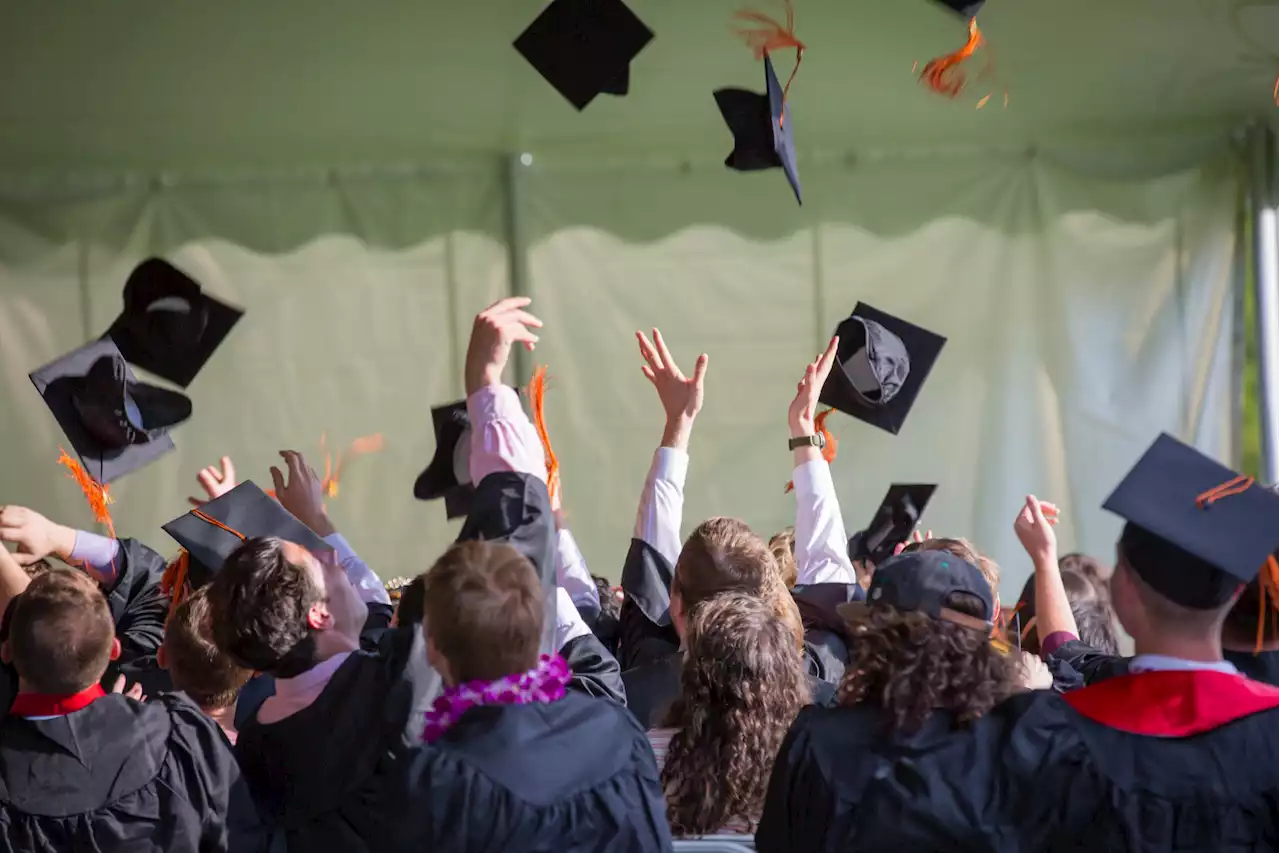 Blog | Studenti italiani, in aumento le esperienze all'estero fra superiori e università - Alley Oop