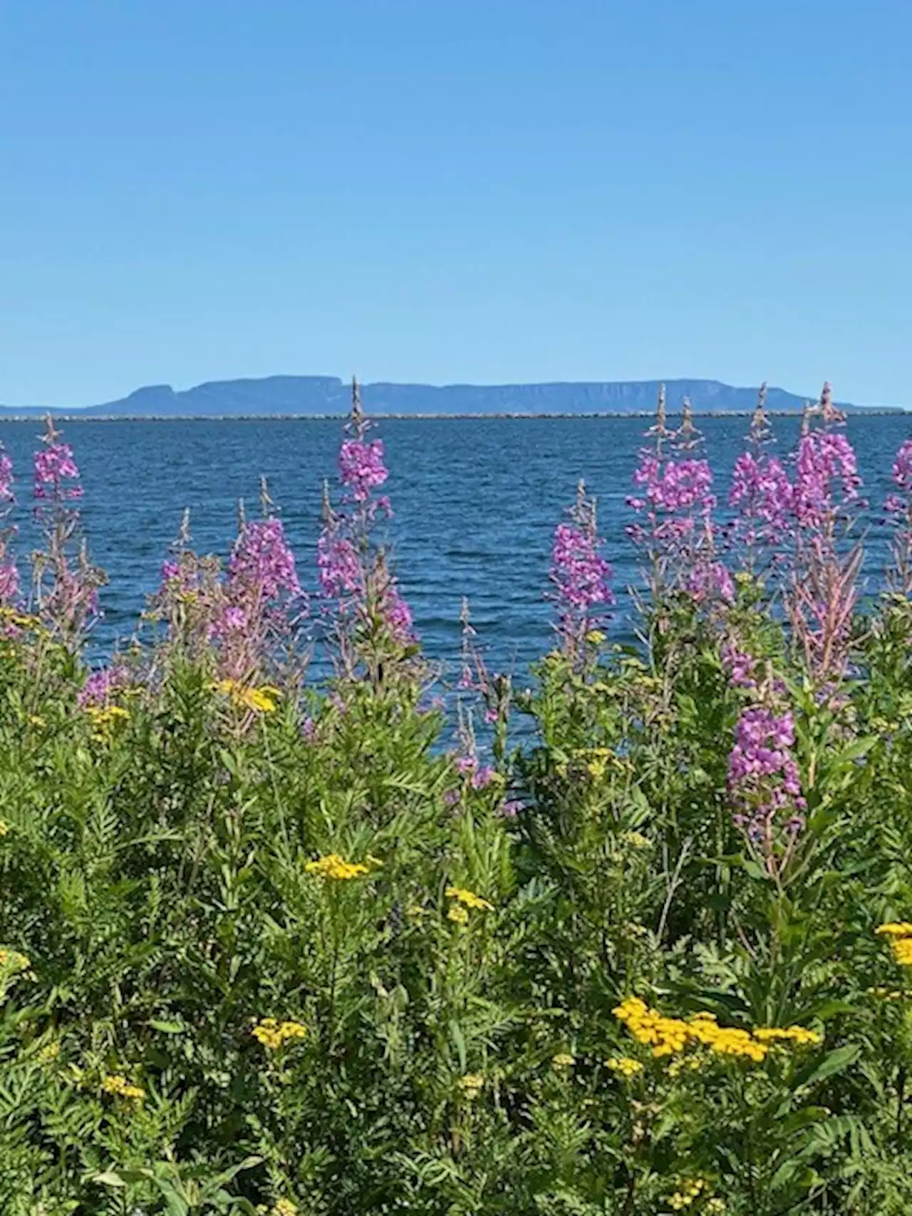 Good Morning, Thunder Bay!