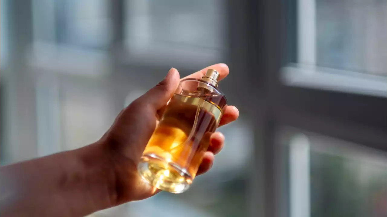 This $30 Perfume Smells Just Like Le Labo's Santal 33