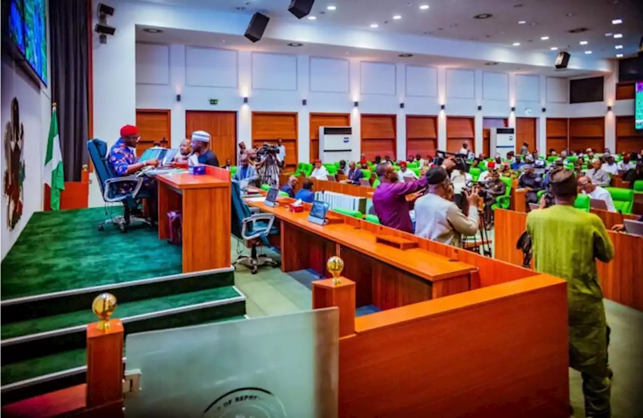 ‘Embrace dialogue’ — reps ask NLC to shelve planned protest | TheCable